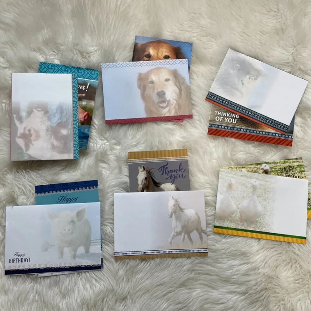 6 Assorted Greeting cards with matching print envelopes (PETA) Blank Inside